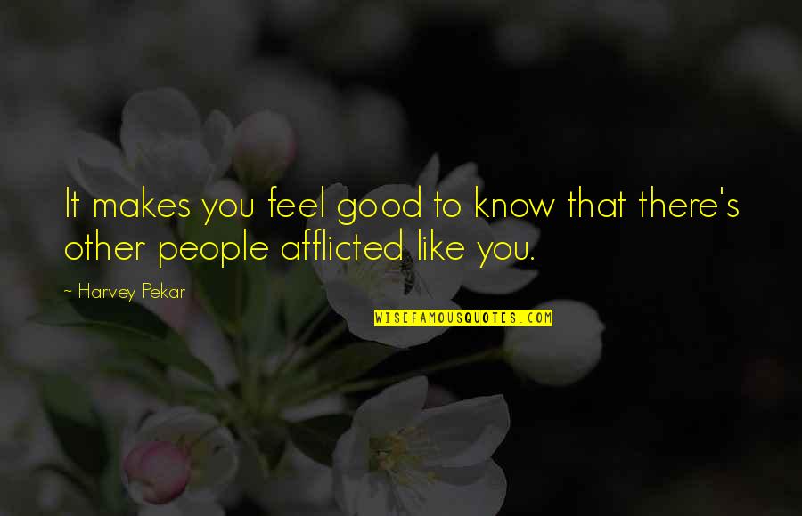 Afflicted's Quotes By Harvey Pekar: It makes you feel good to know that