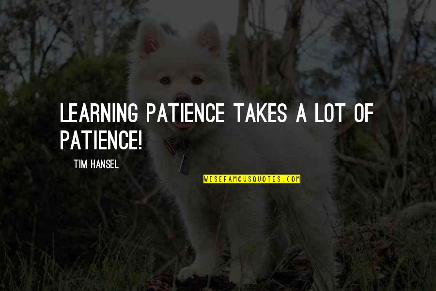 Afflicting Quotes By Tim Hansel: Learning patience takes a lot of patience!