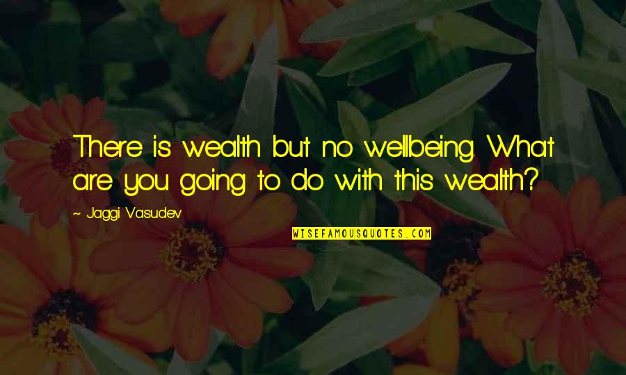 Affluence Quotes By Jaggi Vasudev: There is wealth but no wellbeing. What are