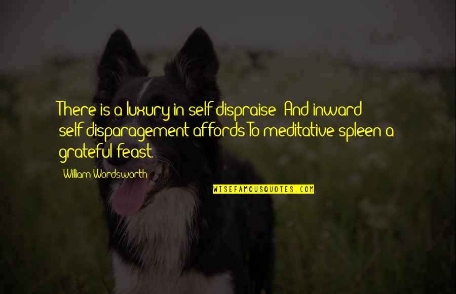 Affords Quotes By William Wordsworth: There is a luxury in self-dispraise; And inward