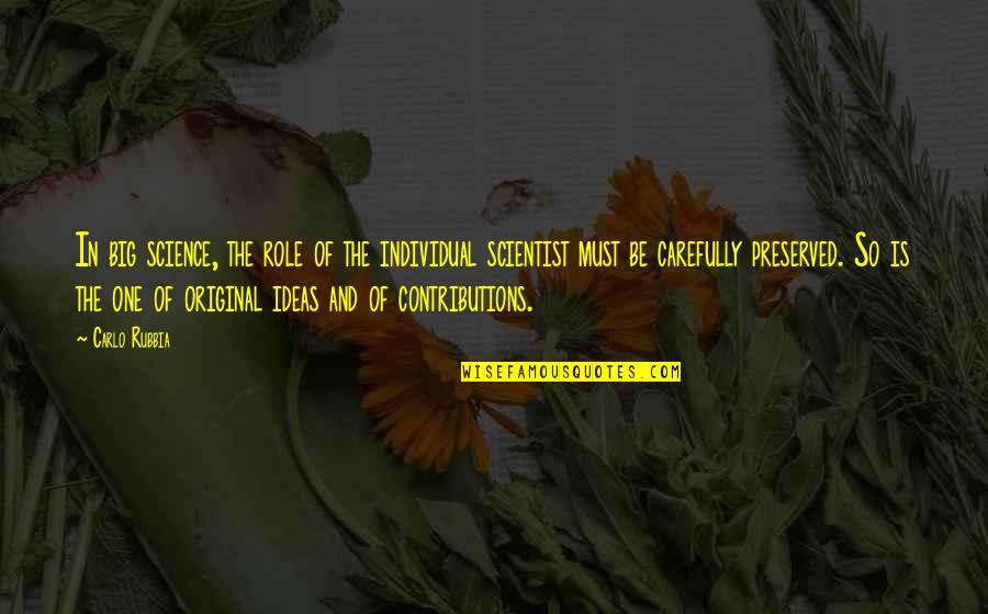 Affrontement Mortel Quotes By Carlo Rubbia: In big science, the role of the individual