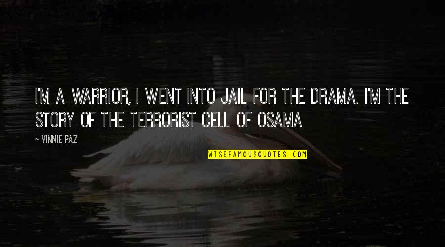Affrontement Synonyme Quotes By Vinnie Paz: I'm a warrior, I went into jail for Affrontement Synonyme Quotes By Vinnie Paz: I'm a warrior, I went into jail for