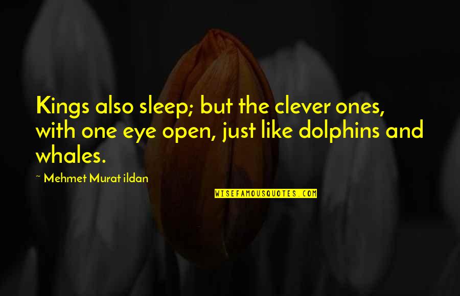 Afia Quotes By Mehmet Murat Ildan: Kings also sleep; but the clever ones, with