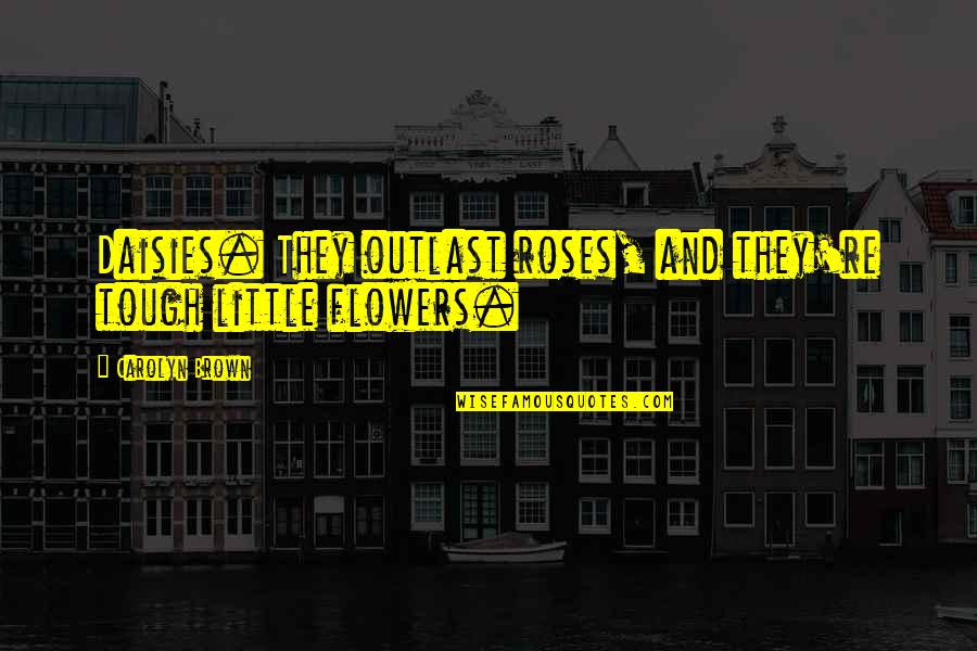 Afinal De Contas Quotes By Carolyn Brown: Daisies. They outlast roses, and they're tough little