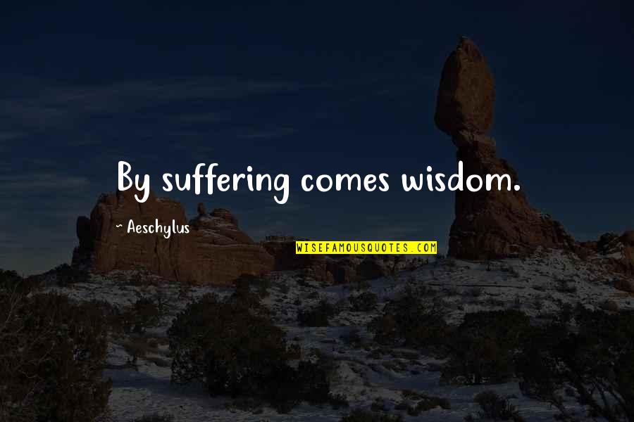 Afl Quotes By Aeschylus: By suffering comes wisdom.