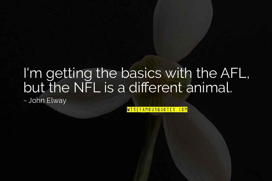 Afl Quotes By John Elway: I'm getting the basics with the AFL, but