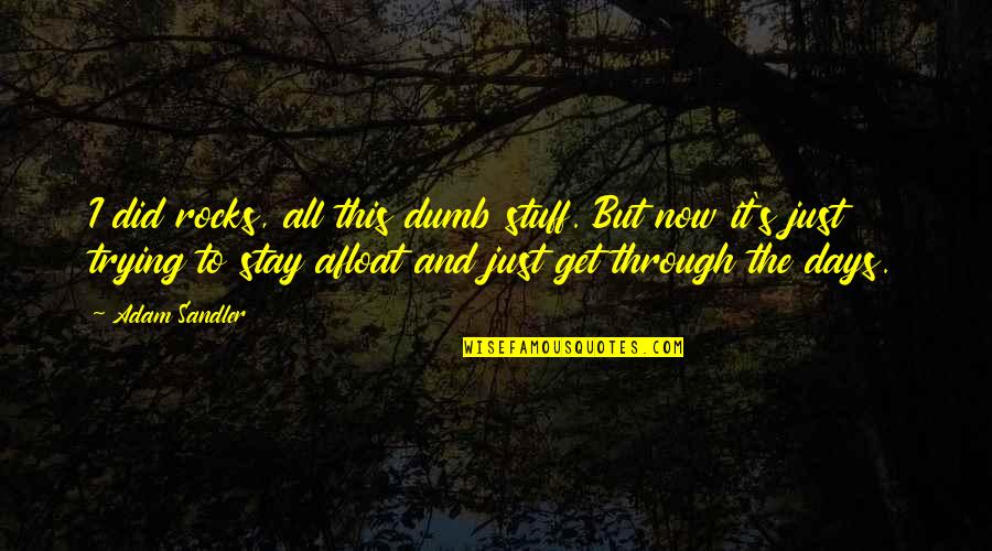 Afloat Quotes By Adam Sandler: I did rocks, all this dumb stuff. But