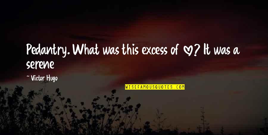 Aford Quotes By Victor Hugo: Pedantry. What was this excess of love? It