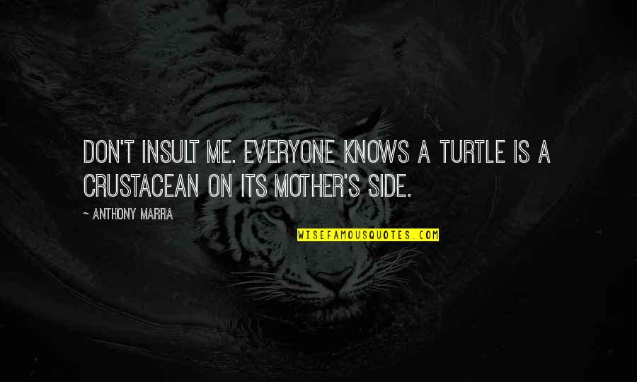 Afraid In Hebrew Quotes By Anthony Marra: Don't insult me. Everyone knows a turtle is