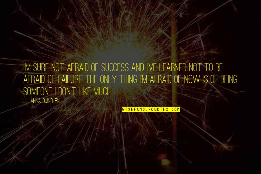 Afraid Of Failure Quotes By Anna Quindlen: I'm sure not afraid of success and I've