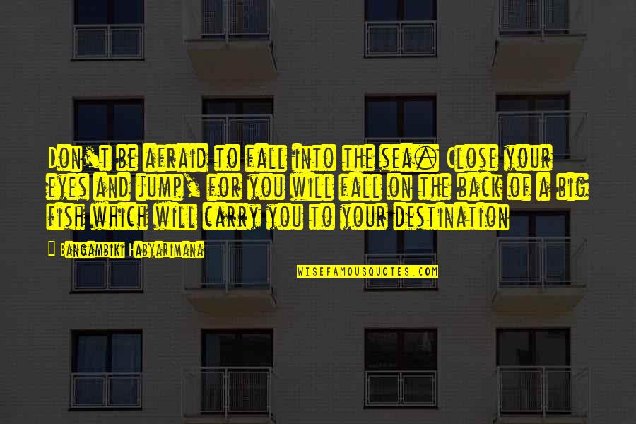 Afraid To Fall Quotes By Bangambiki Habyarimana: Don't be afraid to fall into the sea.