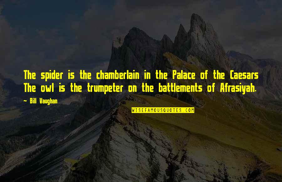 Afrasiyah Quotes By Bill Vaughan: The spider is the chamberlain in the Palace