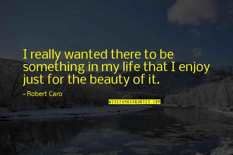 Afrenta Significado Quotes By Robert Caro: I really wanted there to be something in