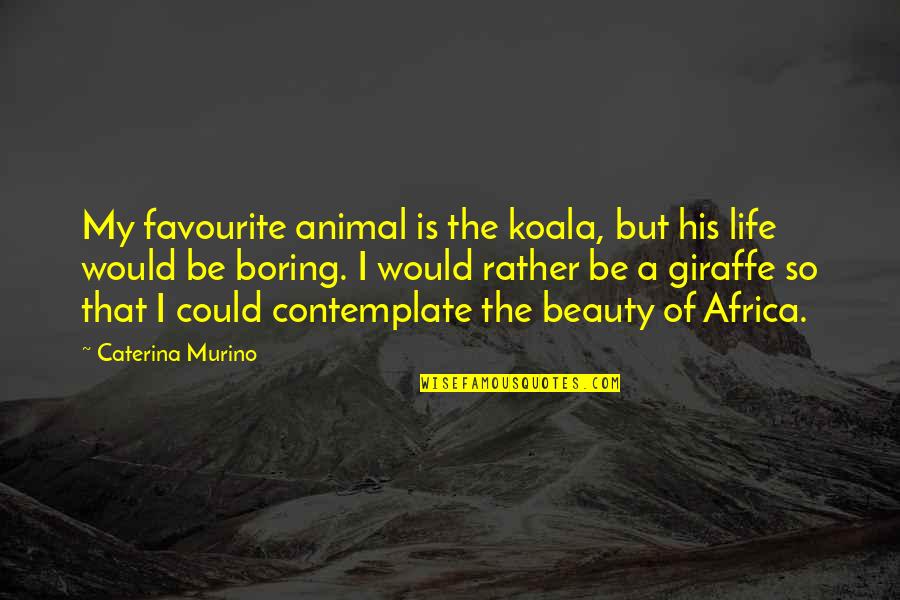 Africa Beauty Quotes By Caterina Murino: My favourite animal is the koala, but his