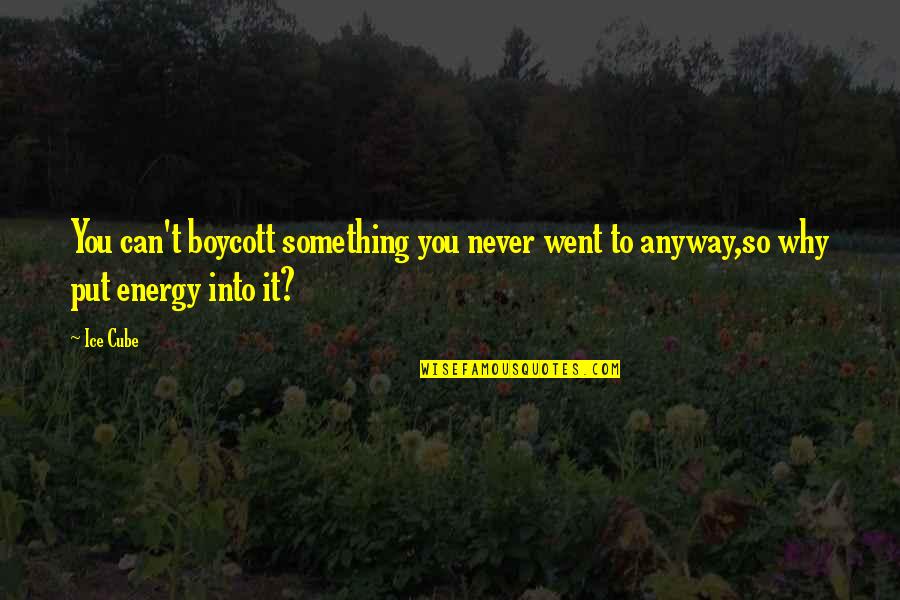 Africa Development Quotes By Ice Cube: You can't boycott something you never went to