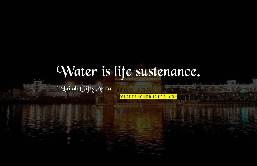 African American Identity Quotes By Lailah Gifty Akita: Water is life sustenance.