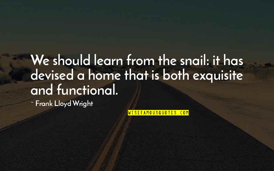 African Griot Alex Haley Quotes By Frank Lloyd Wright: We should learn from the snail: it has African Griot Alex Haley Quotes By Frank Lloyd Wright: We should learn from the snail: it has