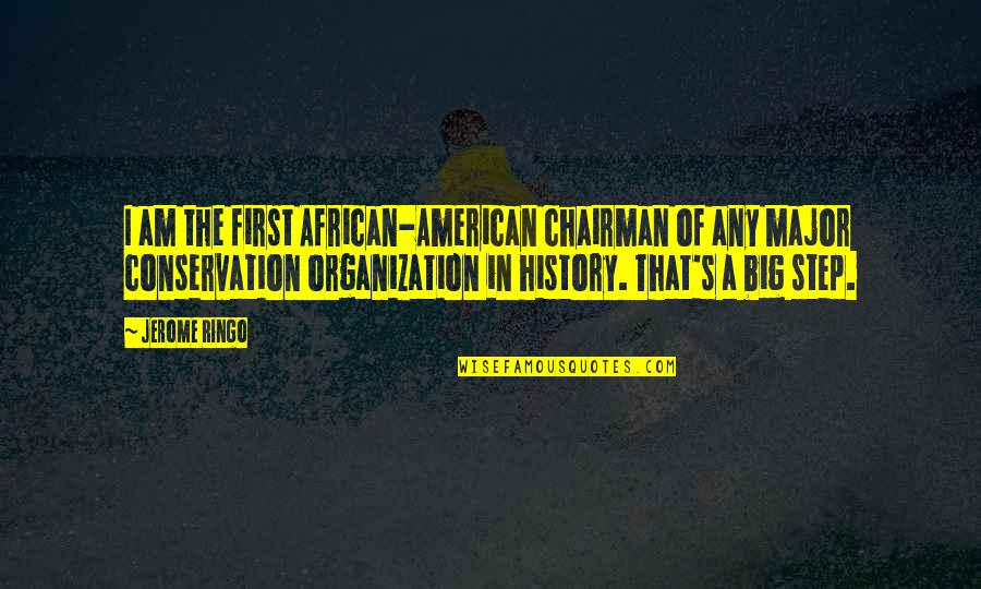 African History Quotes By Jerome Ringo: I am the first African-American chairman of any