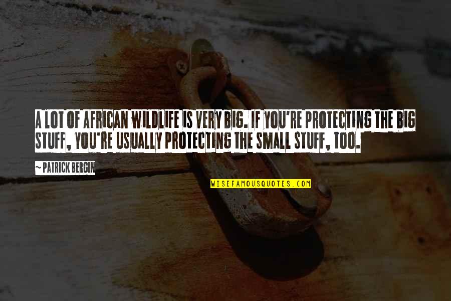 African Wildlife Quotes By Patrick Bergin: A lot of African wildlife is very big.