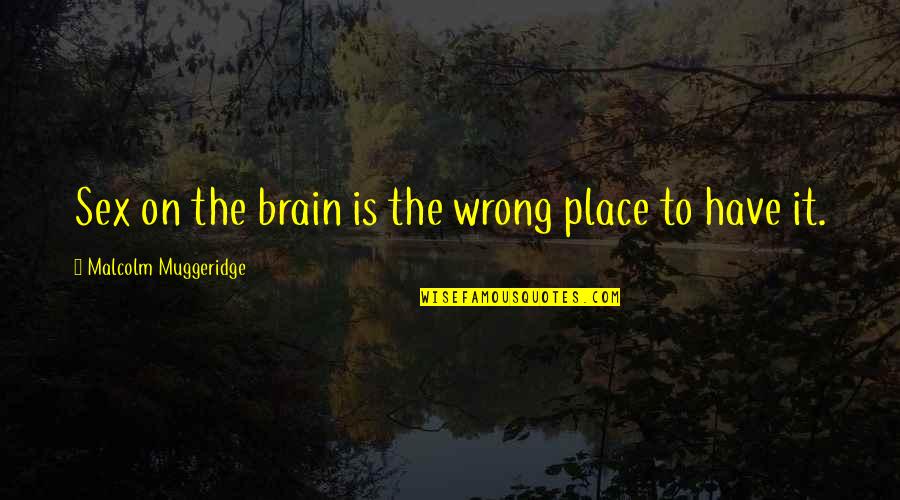 Africanus Australopithecus Quotes By Malcolm Muggeridge: Sex on the brain is the wrong place