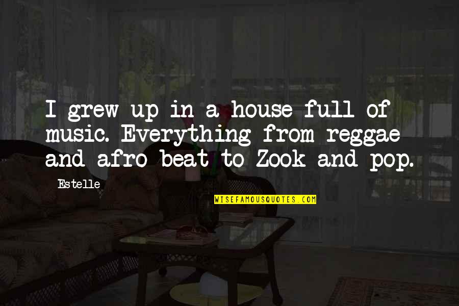 Afro Quotes By Estelle: I grew up in a house full of