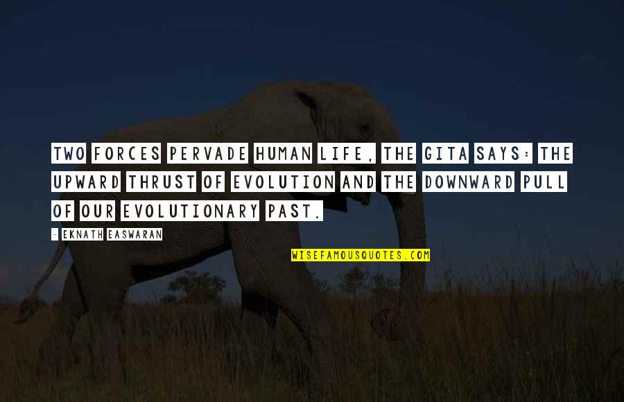 Afrodisiacos Quotes By Eknath Easwaran: Two forces pervade human life, the Gita says: Afrodisiacos Quotes By Eknath Easwaran: Two forces pervade human life, the Gita says: