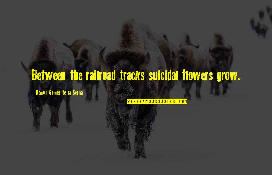 Afroditin Izvor Quotes By Ramon Gomez De La Serna: Between the railroad tracks suicidal flowers grow.