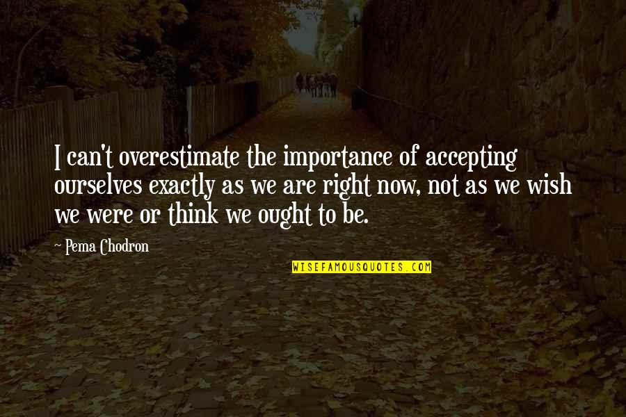 Afscheid Van Een Vriend Quotes By Pema Chodron: I can't overestimate the importance of accepting ourselves