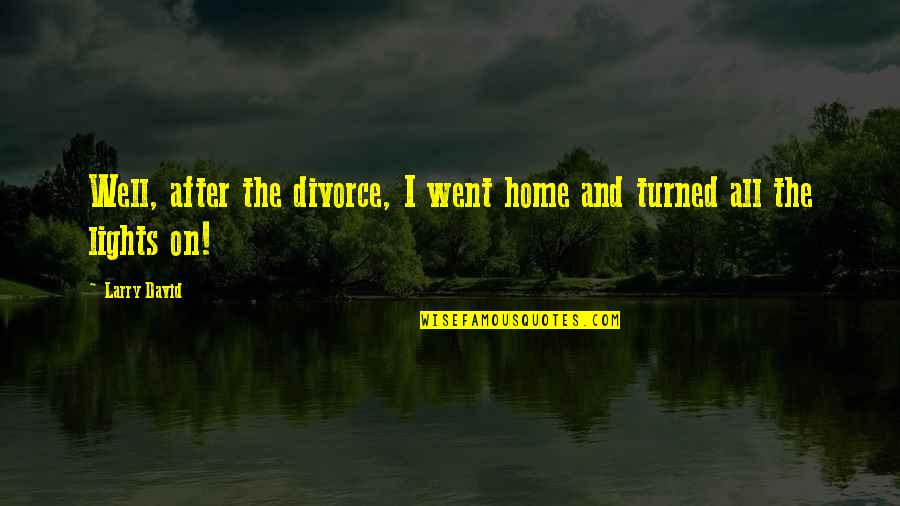 After A Divorce Quotes By Larry David: Well, after the divorce, I went home and