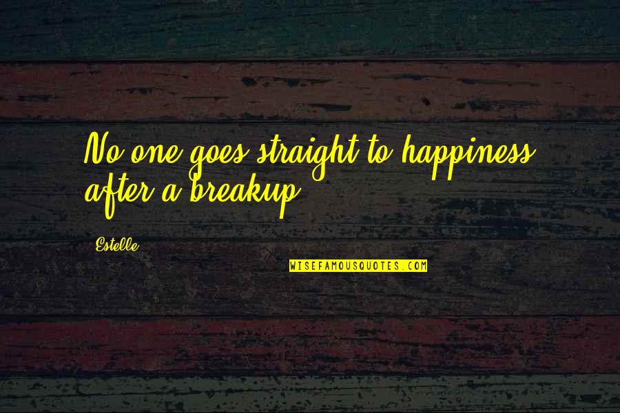 After Breakup Quotes By Estelle: No one goes straight to happiness after a