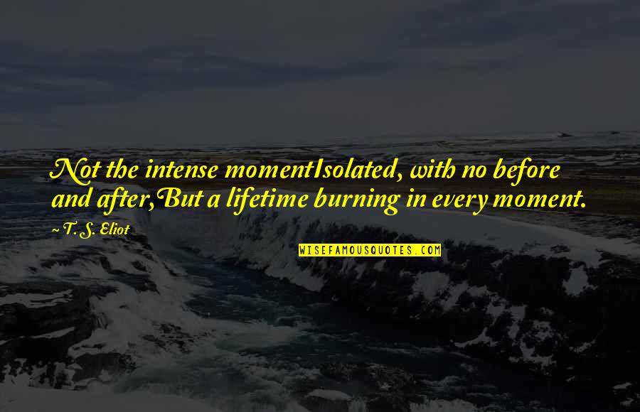After Life Best Quotes By T. S. Eliot: Not the intense momentIsolated, with no before and