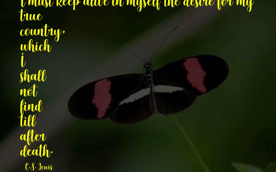 After My Death Quotes By C.S. Lewis: I must keep alive in myself the desire