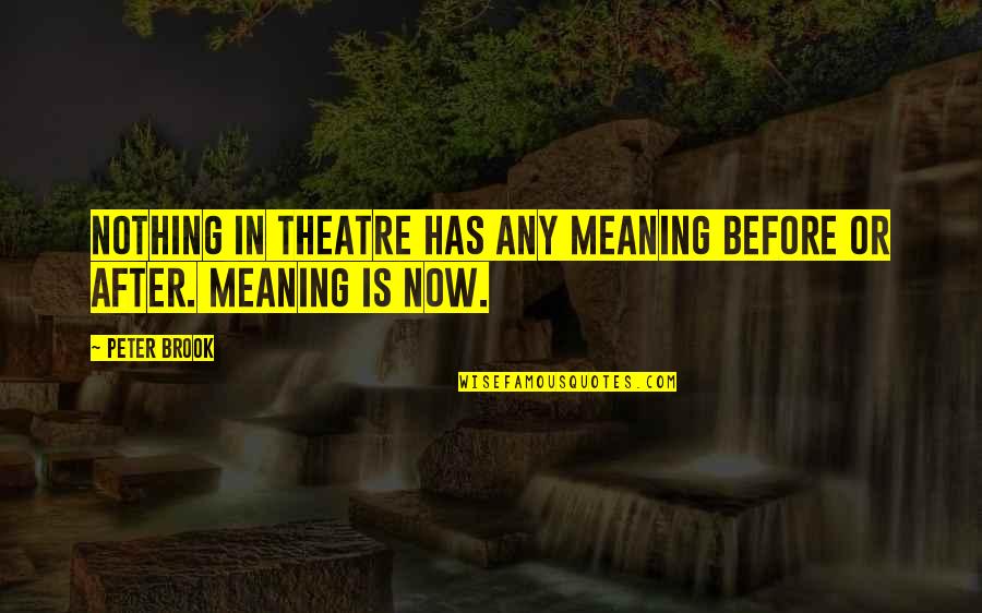 After Or Before Quotes By Peter Brook: Nothing in theatre has any meaning before or