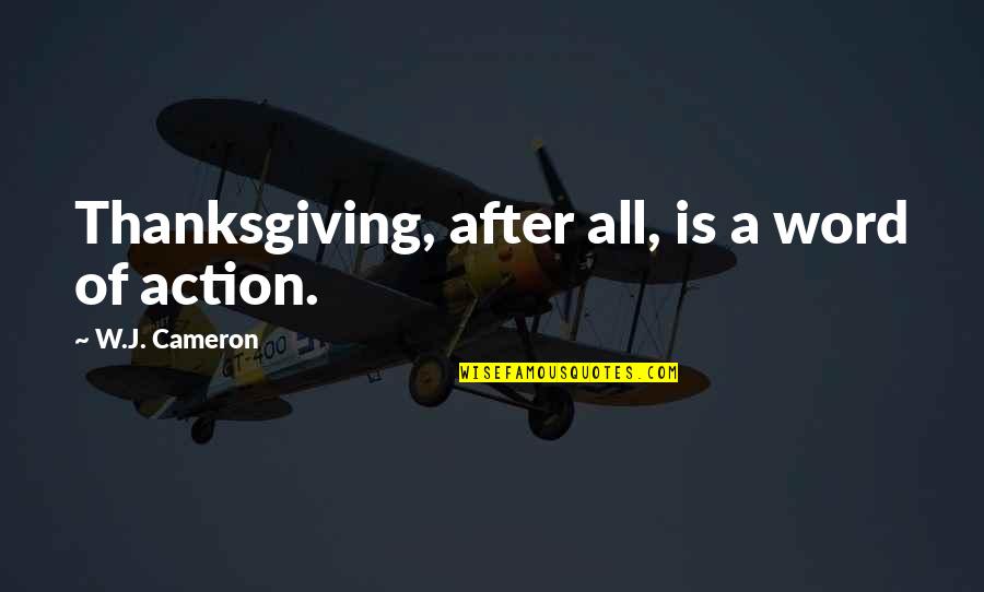 After Thanksgiving Quotes By W.J. Cameron: Thanksgiving, after all, is a word of action.