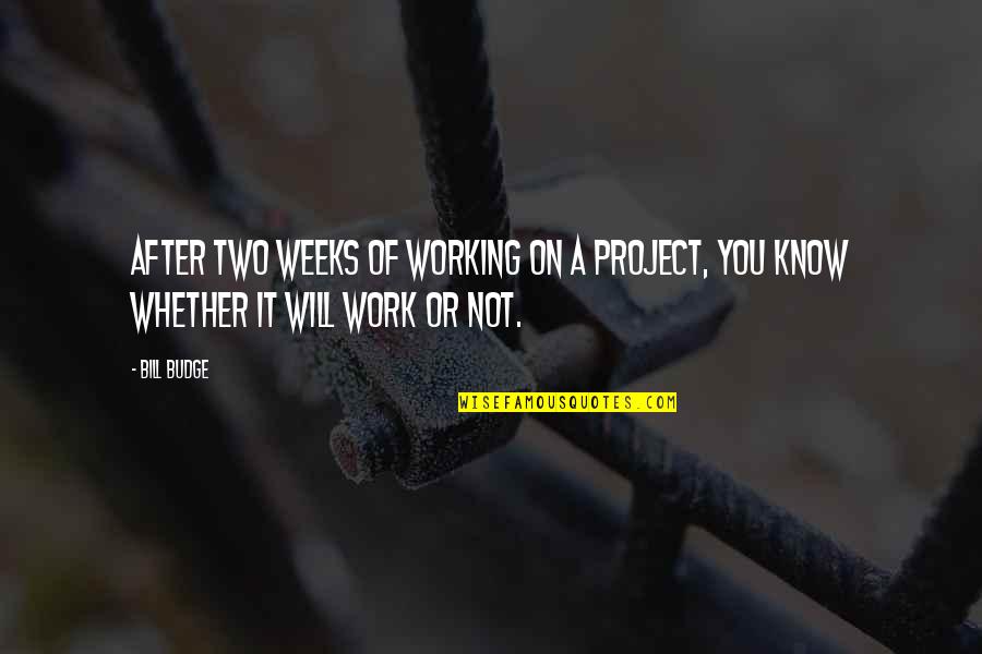 After Work Out Quotes By Bill Budge: After two weeks of working on a project,