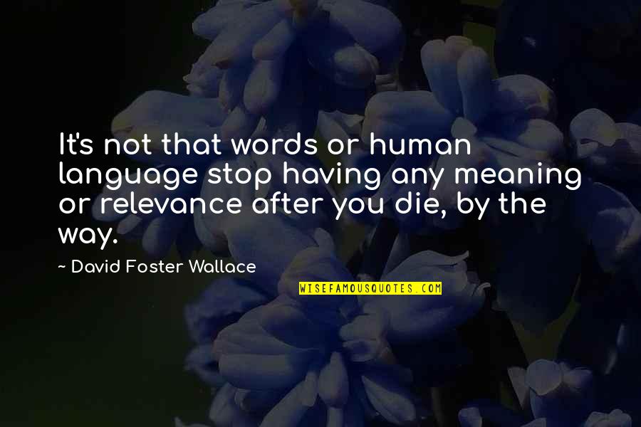 After You Die Quotes By David Foster Wallace: It's not that words or human language stop