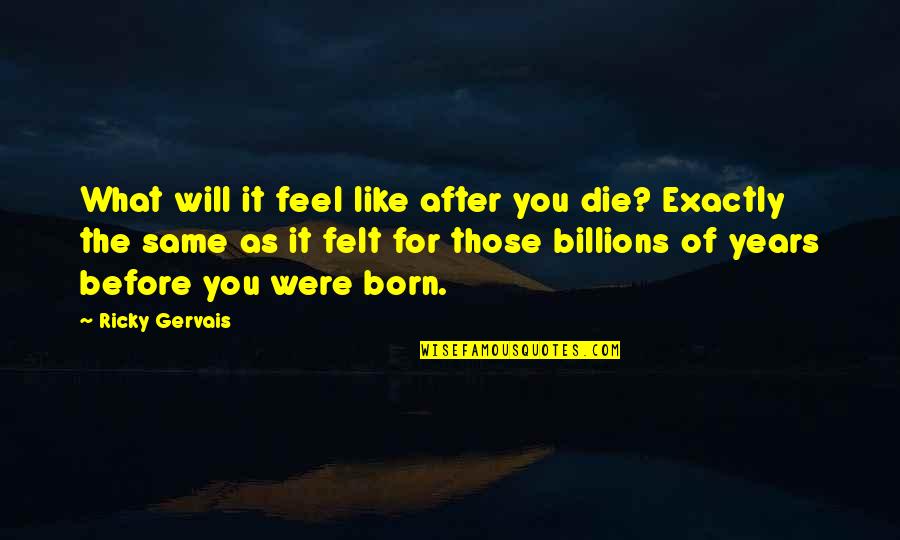 After You Die Quotes By Ricky Gervais: What will it feel like after you die?