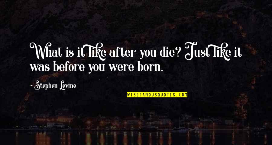 After You Die Quotes By Stephen Levine: What is it like after you die? Just