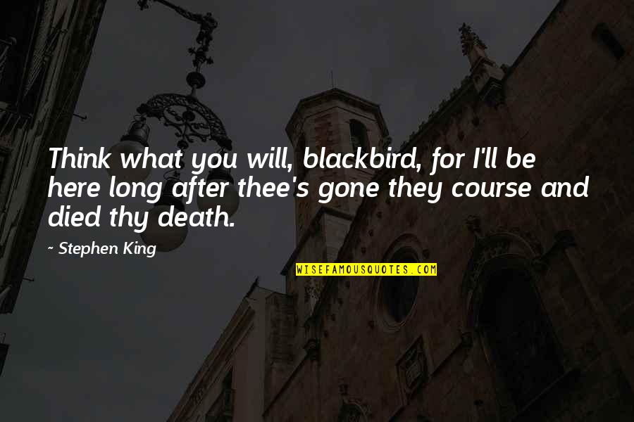 After You'd Gone Quotes By Stephen King: Think what you will, blackbird, for I'll be After You'd Gone Quotes By Stephen King: Think what you will, blackbird, for I'll be