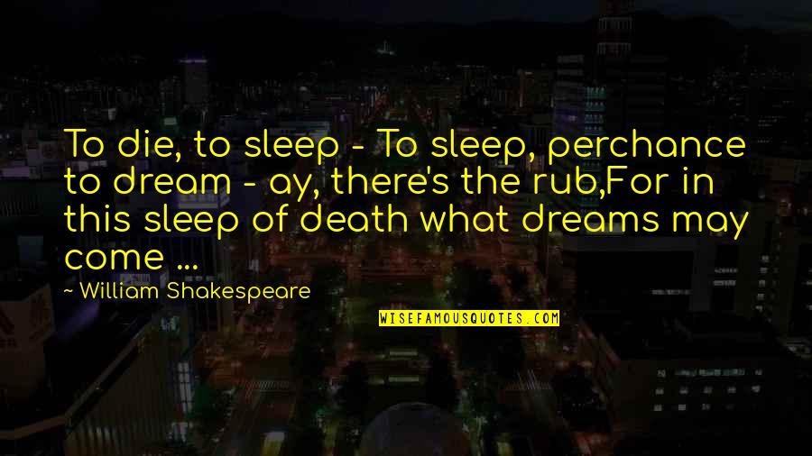 Afterlife In Hamlet Quotes By William Shakespeare: To die, to sleep - To sleep, perchance