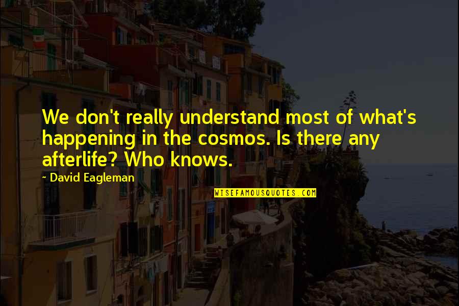 Afterlife's Quotes By David Eagleman: We don't really understand most of what's happening