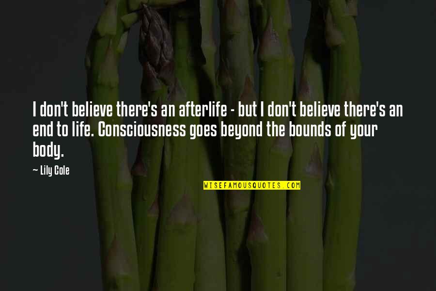 Afterlife's Quotes By Lily Cole: I don't believe there's an afterlife - but