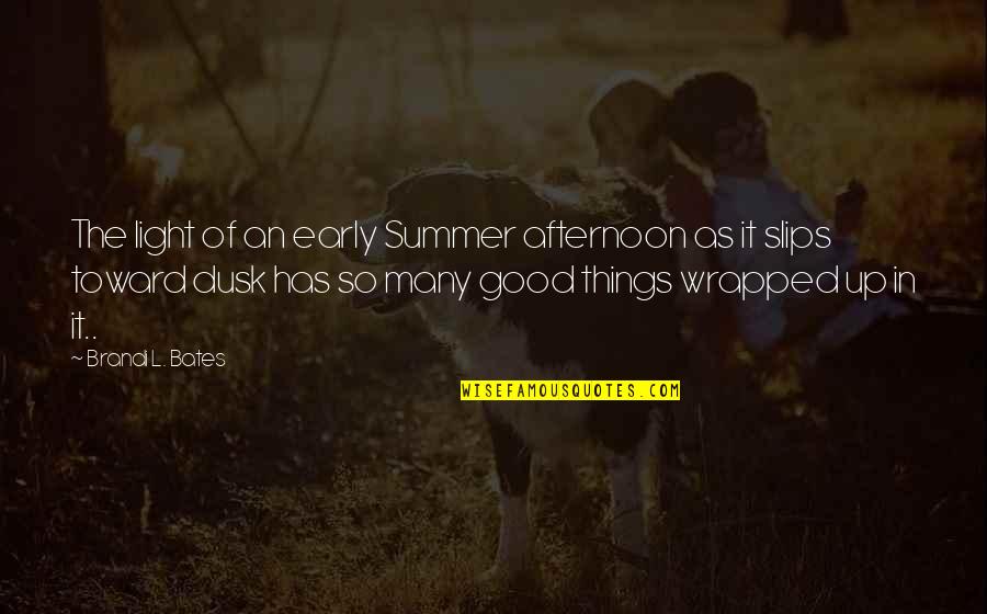 Afternoon In Quotes By Brandi L. Bates: The light of an early Summer afternoon as