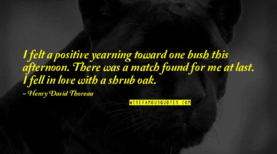 Afternoon In Quotes By Henry David Thoreau: I felt a positive yearning toward one bush
