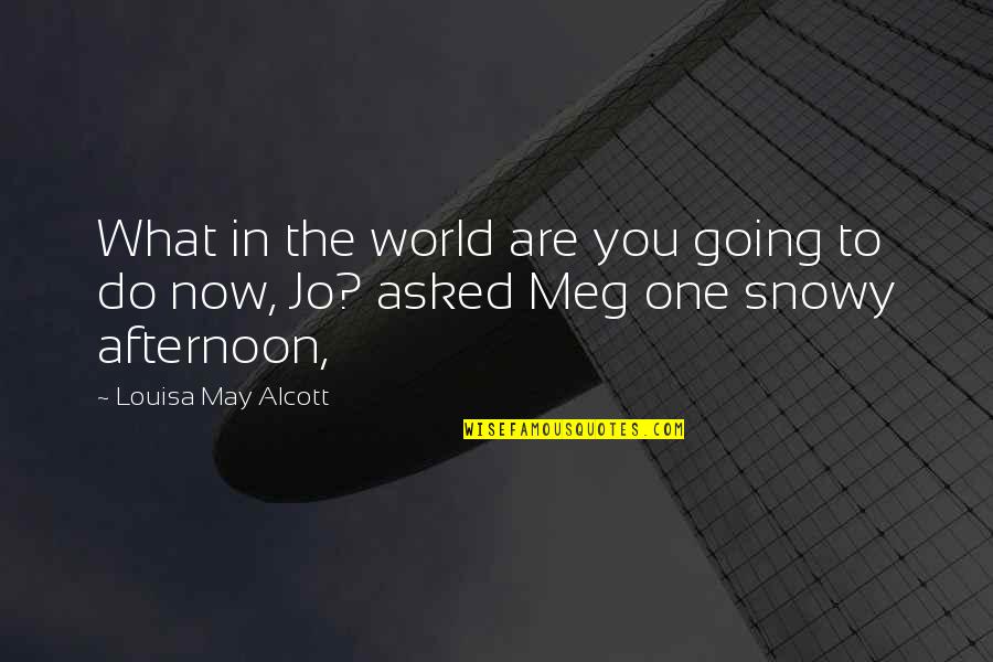 Afternoon In Quotes By Louisa May Alcott: What in the world are you going to