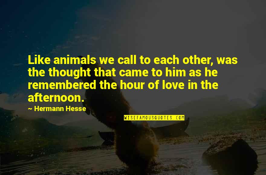 Afternoon Love Quotes By Hermann Hesse: Like animals we call to each other, was