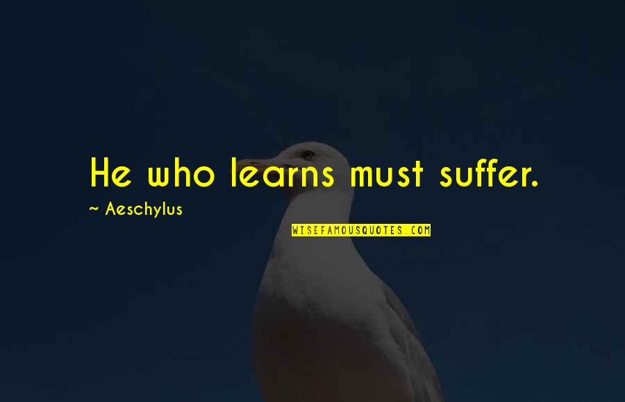Afternoon Snacks Quotes By Aeschylus: He who learns must suffer.