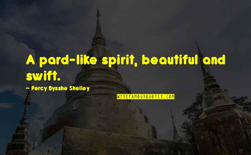 Afternow Quotes By Percy Bysshe Shelley: A pard-like spirit, beautiful and swift.
