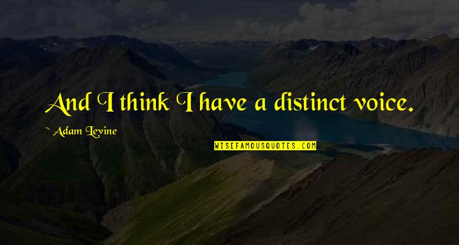 Aftertouch Quotes By Adam Levine: And I think I have a distinct voice.