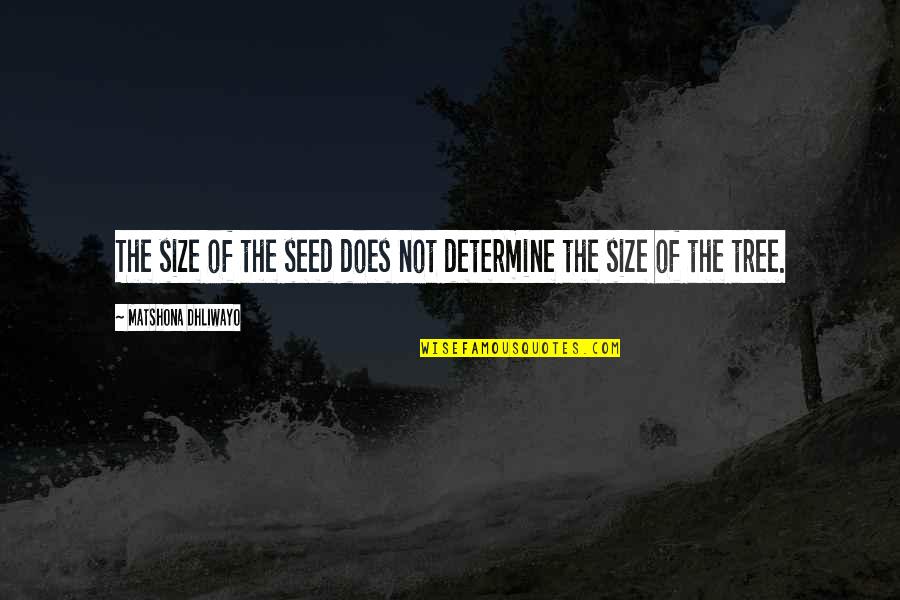 Afterwareds Quotes By Matshona Dhliwayo: The size of the seed does not determine